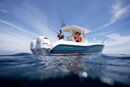 World Cat 295CC -   PowerCat