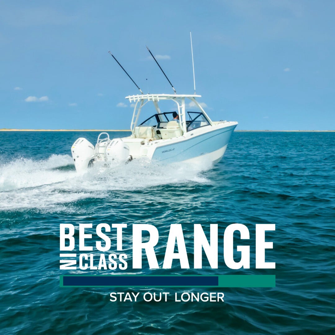 World Cat 260DC-X Range